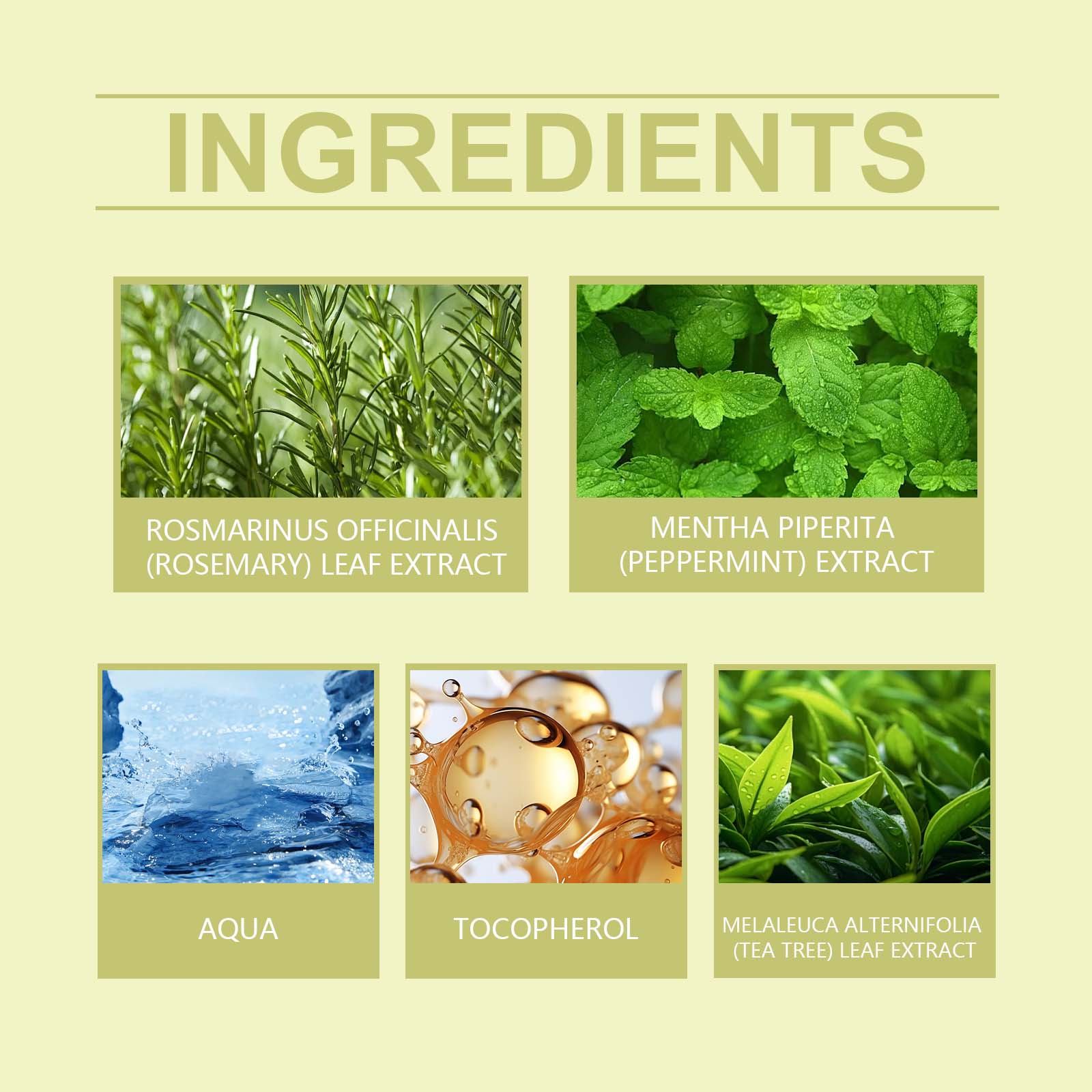 09ac8e8d-056a-4c7c-ad19-0831391c749d