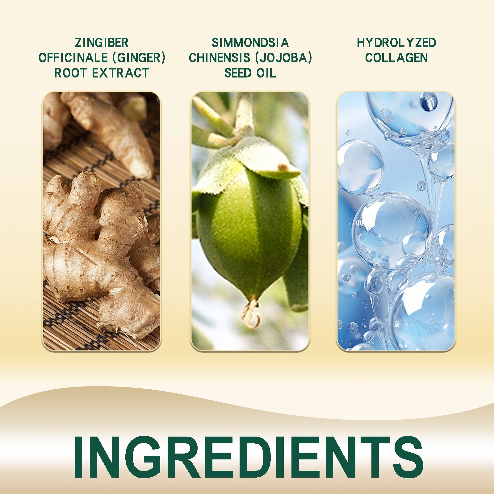 ec2ed805-5b4f-457c-a347-5930675d4631