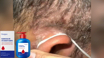 e433d1f4-1dc3-4528-aabb-891ff0ce2f51