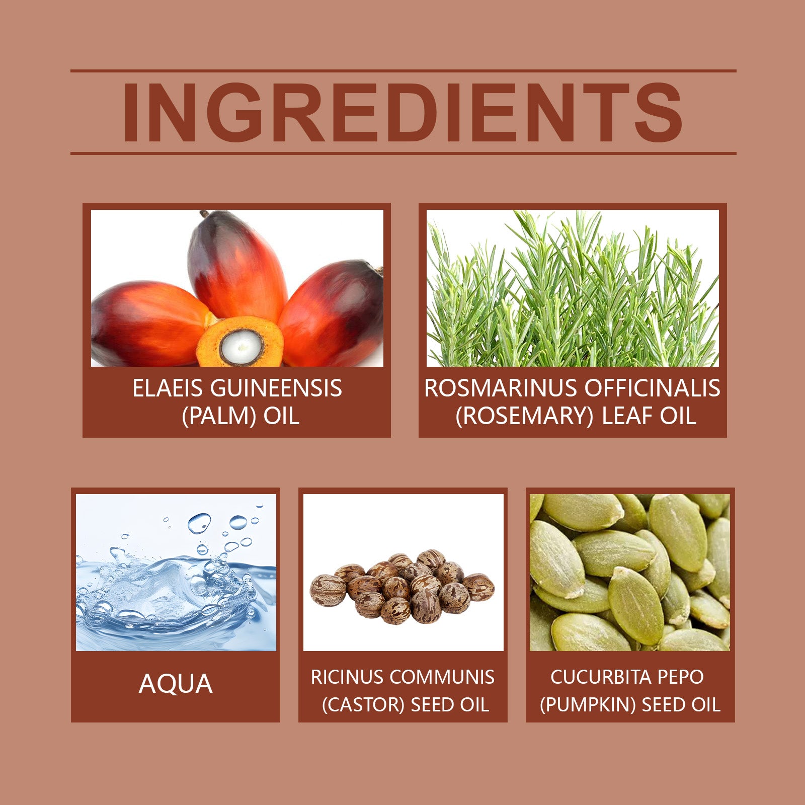 b2310f0c-2e2d-4b5a-86a3-214cb402404f