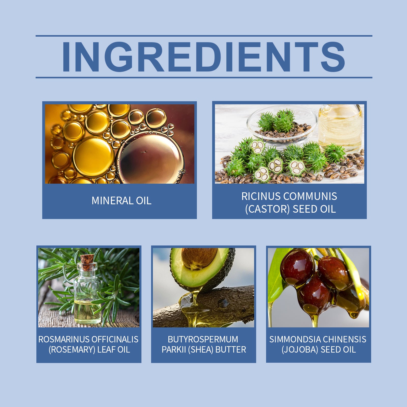 52dd9def-d2ed-46f4-8935-b4b996c1dca7