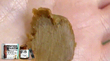 50e548d5-77e2-4aee-bfa5-f16de60caf03