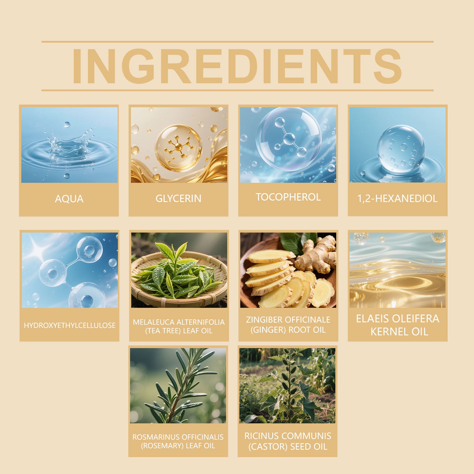 078f6e7a-ad79-4c2f-b6f1-dbbe789d7fbc