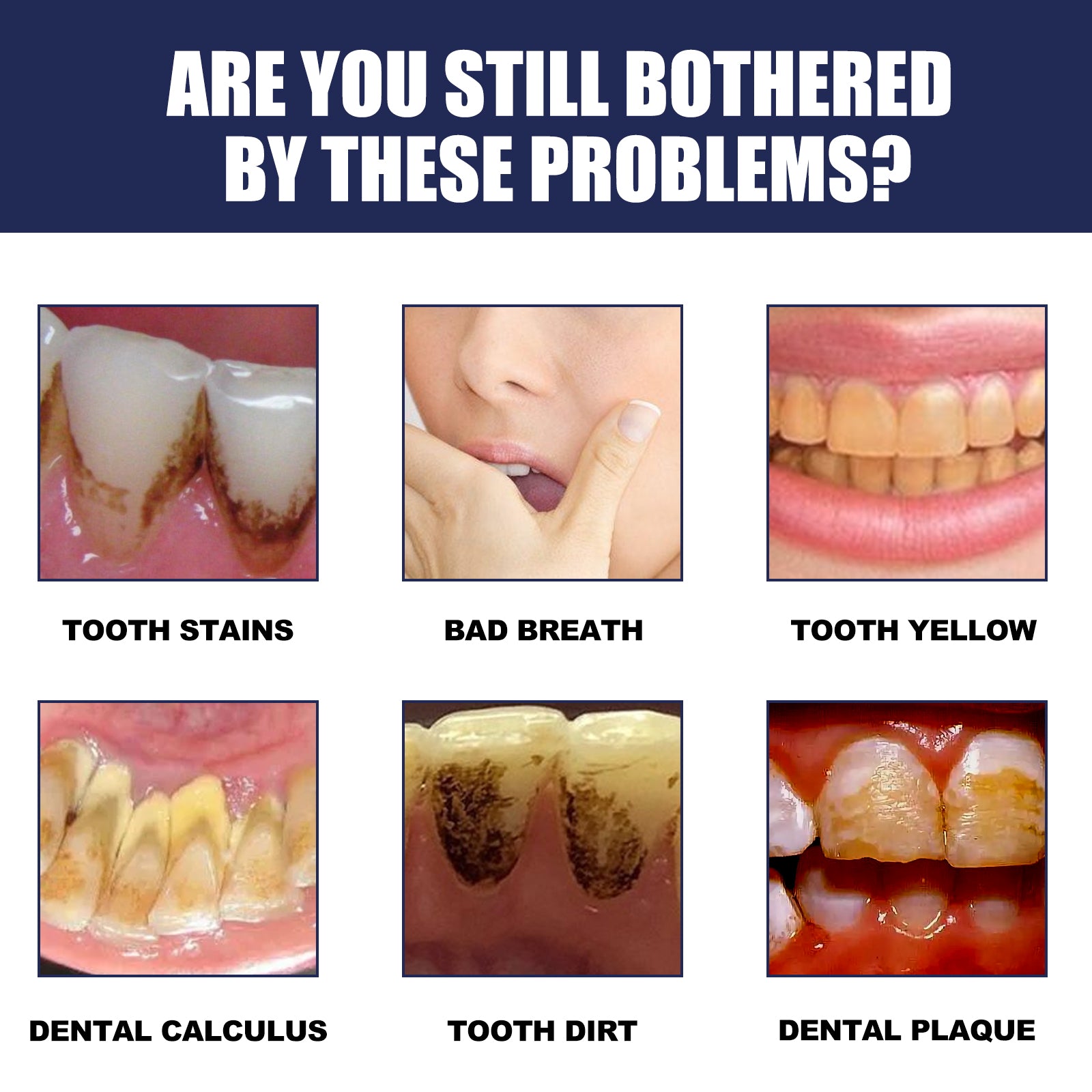 c9125b95-3e32-49ec-a1cf-c51af020bce2