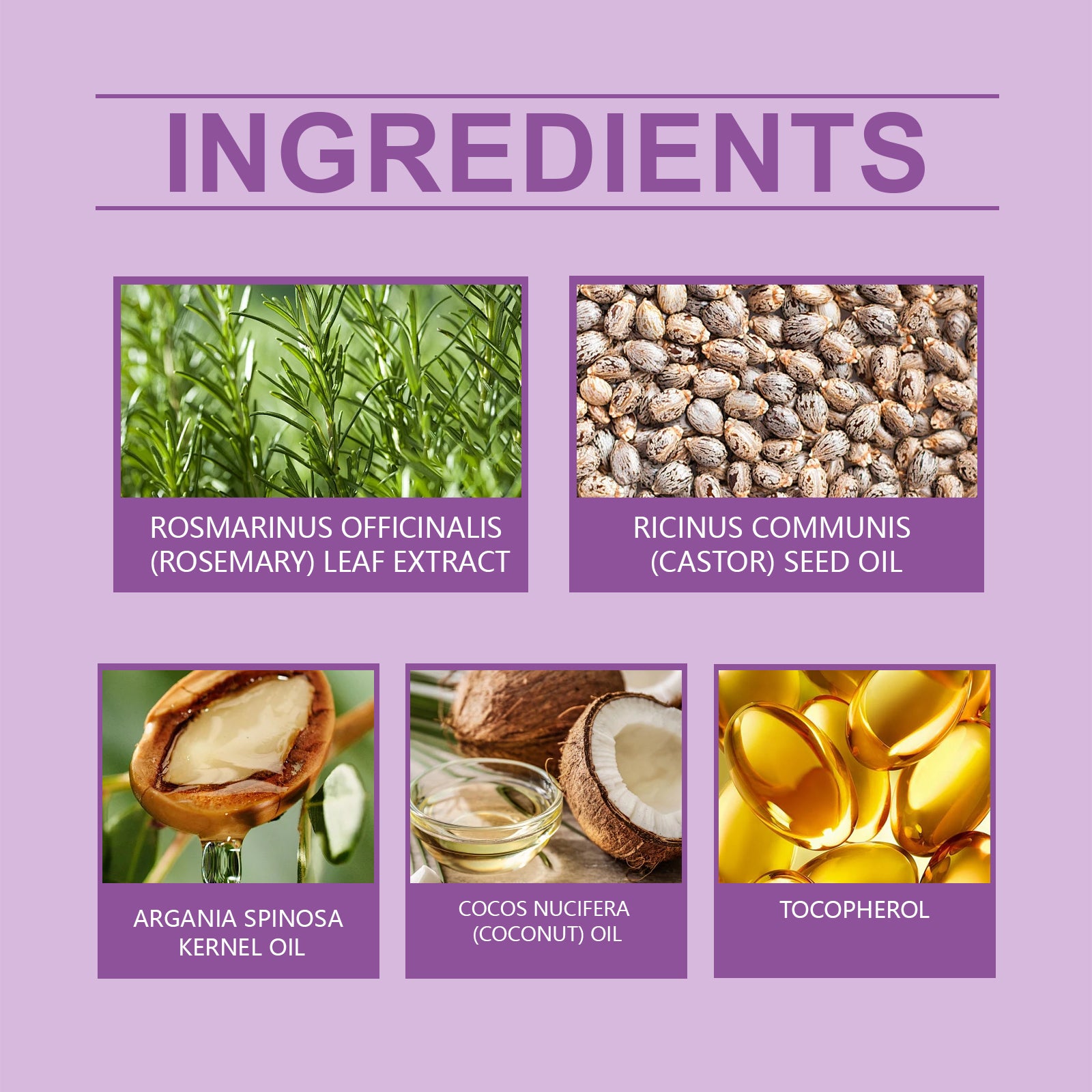 1cb2ff4c-f093-4b24-bab8-1e0a282fc507