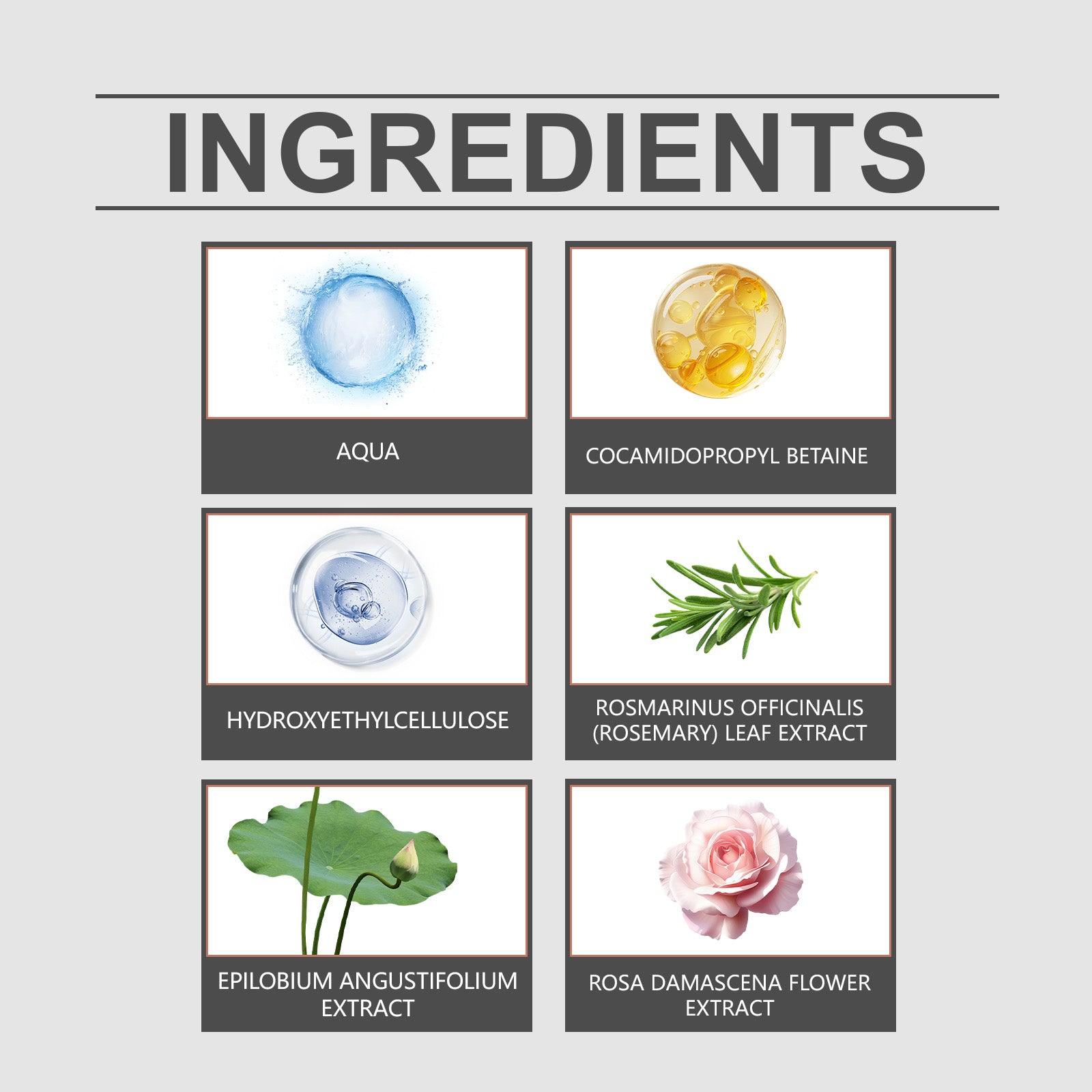 d073a3da-07ae-444a-9f1b-1e365548f2fa