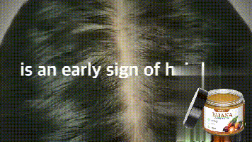 fb7e0156-6f72-425a-8aad-1c5ba51bf192