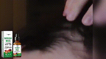 95569dba-6029-49d4-abc3-0923e07018f3