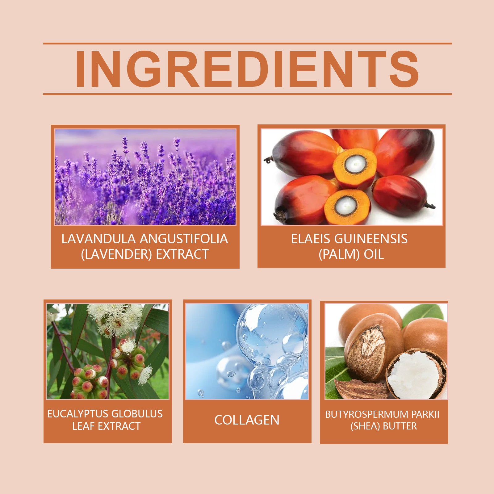 dbc1bfc1-8677-4c6b-824a-b02b22694eb5