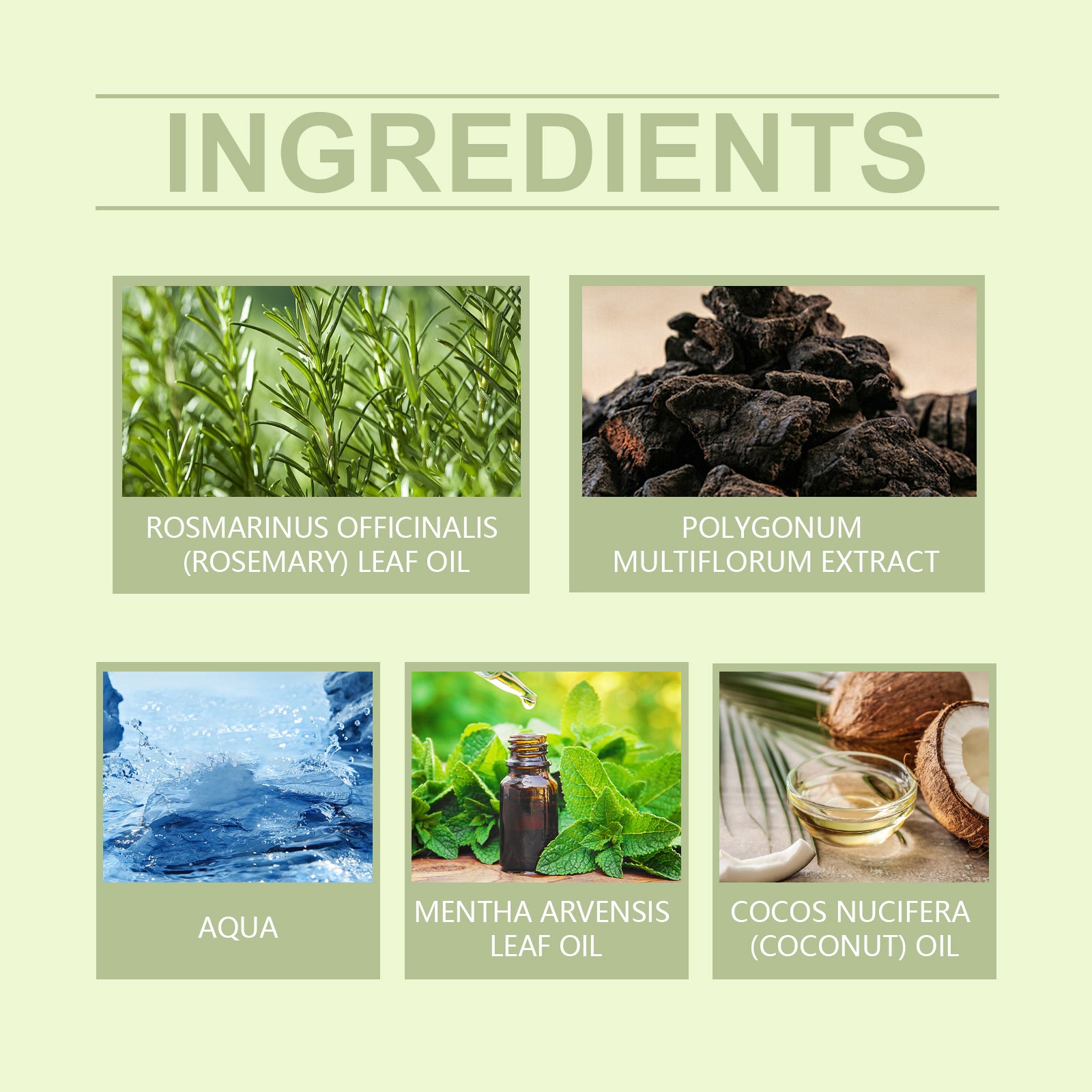 ee83a43d-48c5-4bcc-bddf-de8dbcdaf4e3