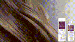 257659c4-e6a5-42bd-9780-94a6633fecda