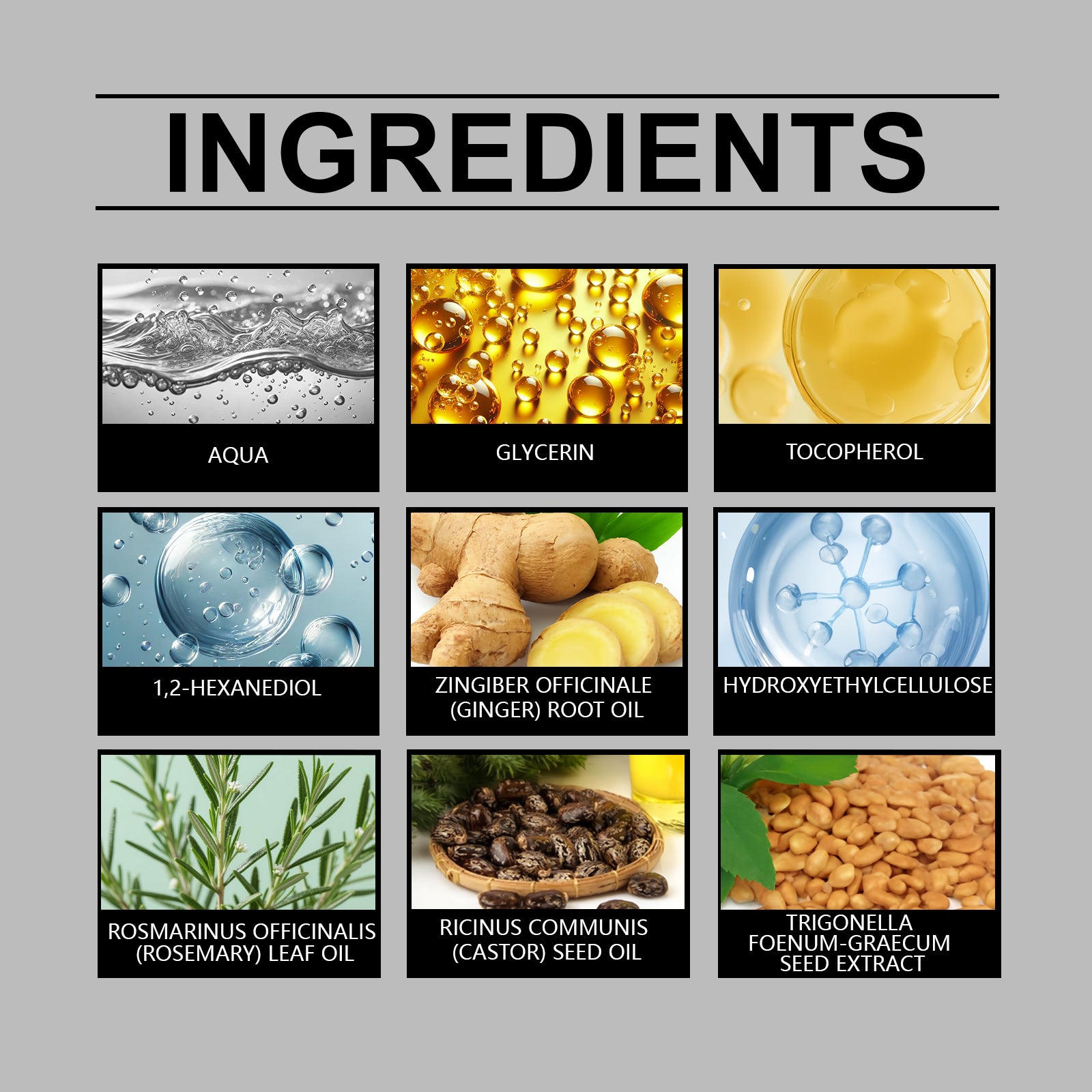 1c932da5-3b86-45ab-8e50-1c0aa61a28f8