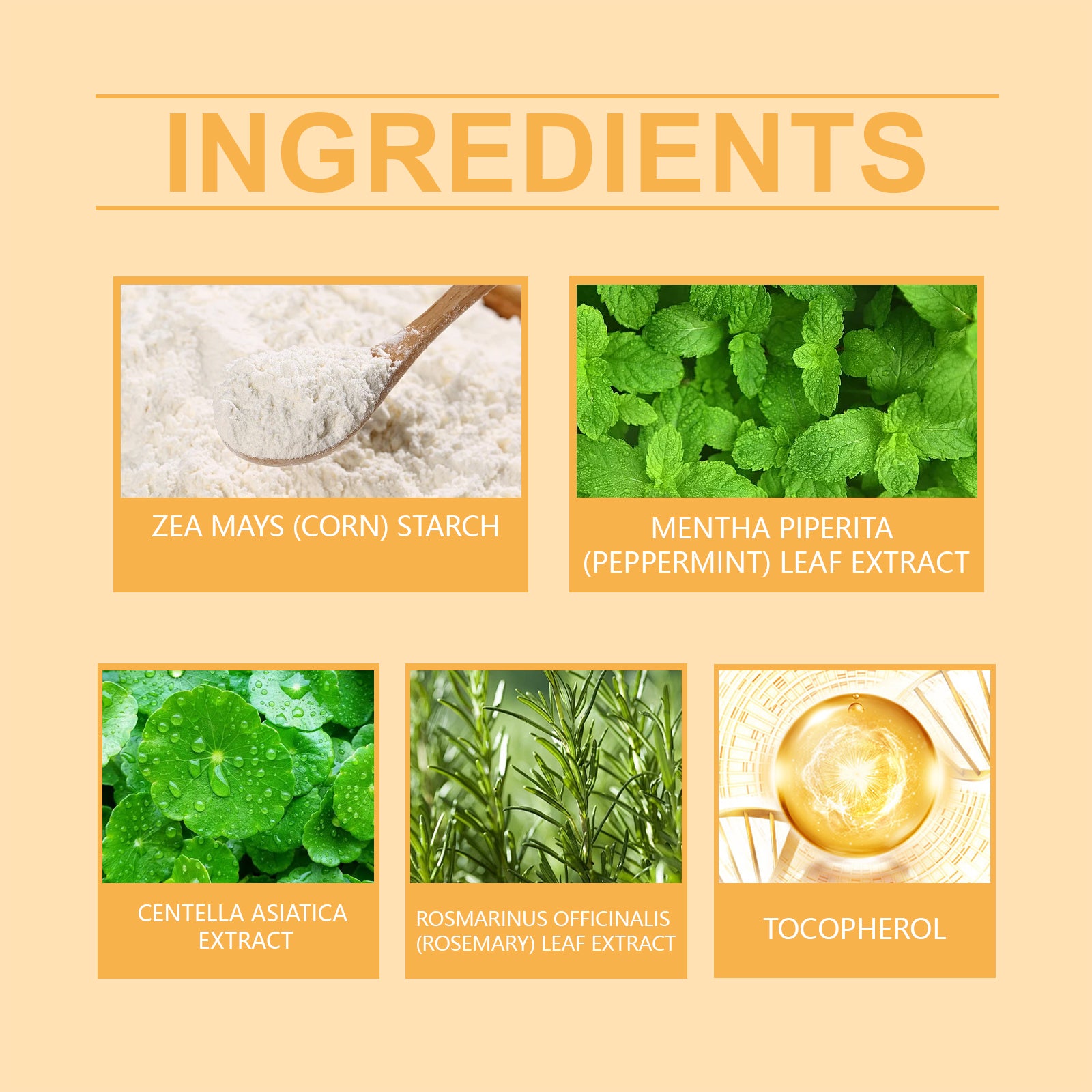 1007b059-eb1b-46a0-b0a3-5a188d07de58