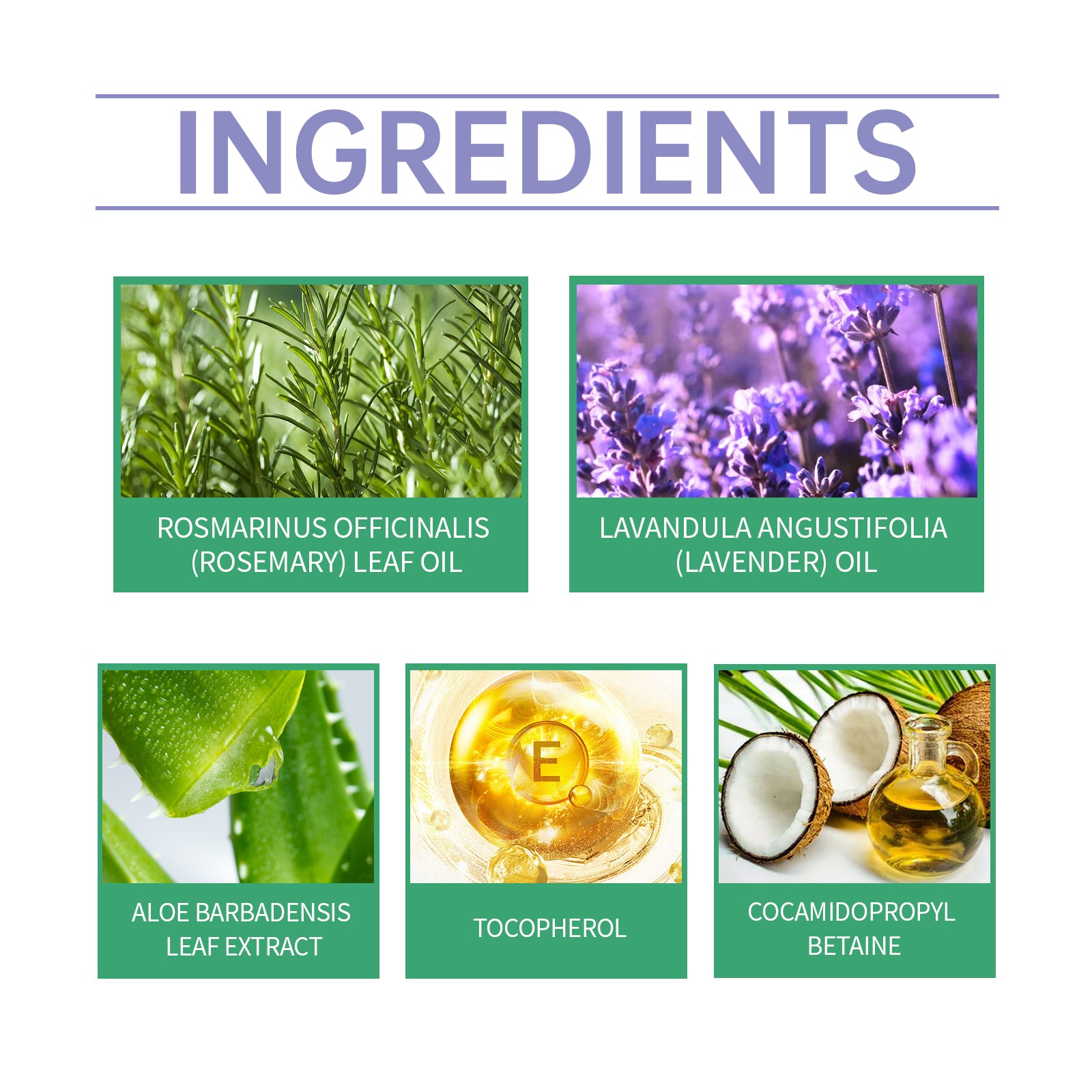 4aef6852-5c17-48ab-921b-f017aeb64186