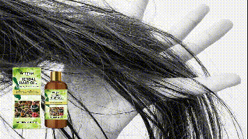 541d5e9d-d7cc-4ef1-965b-2f804a79fcf1