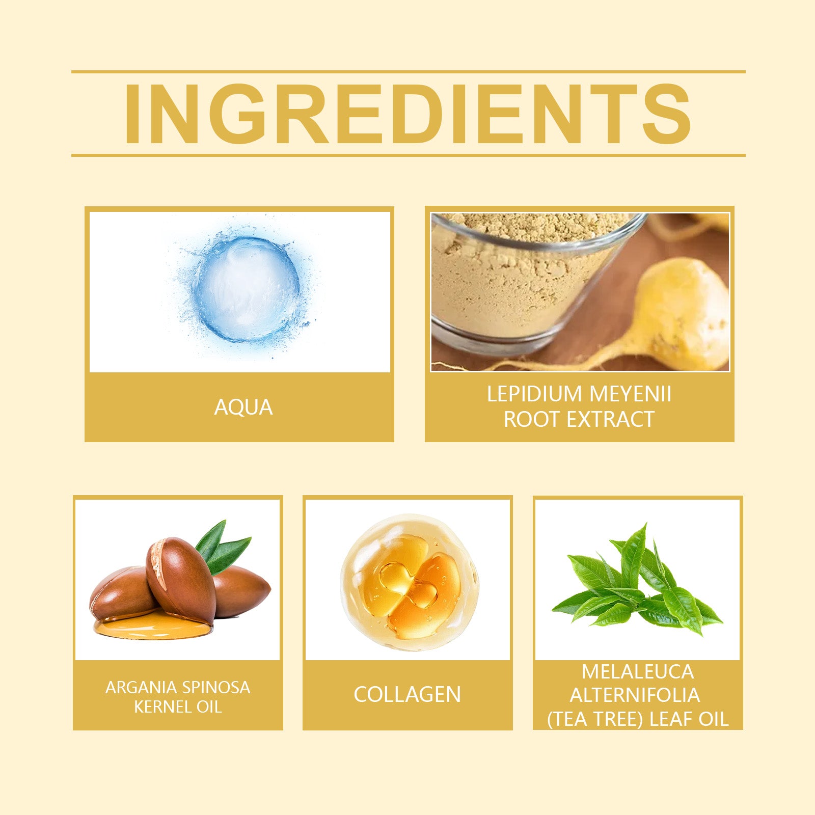 63e6020e-1730-44bf-9c52-c9e02fc2d698