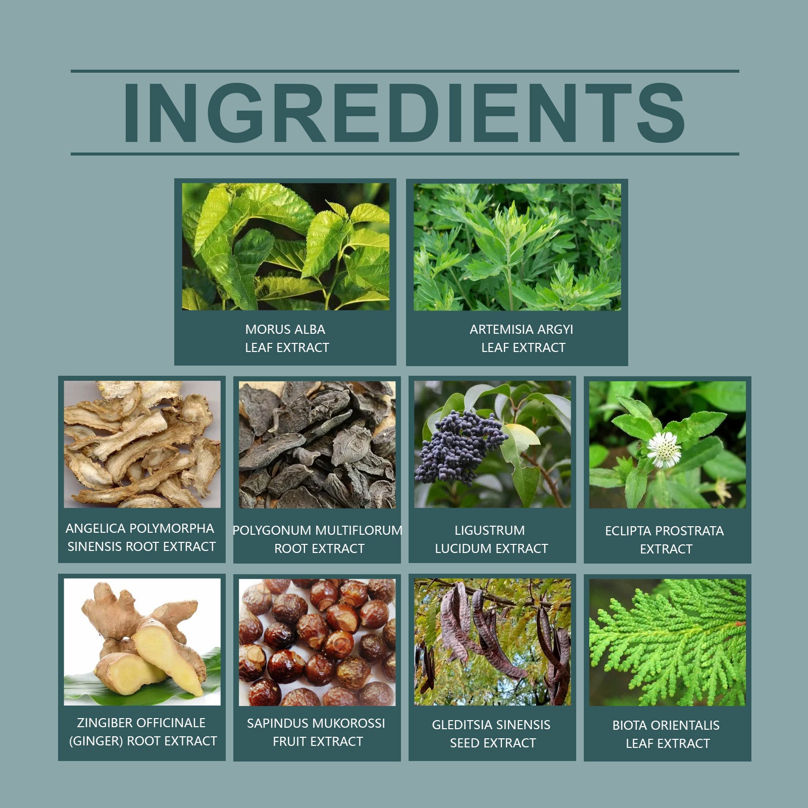 ed74615e-d219-4ed4-8a54-f604efcda40b