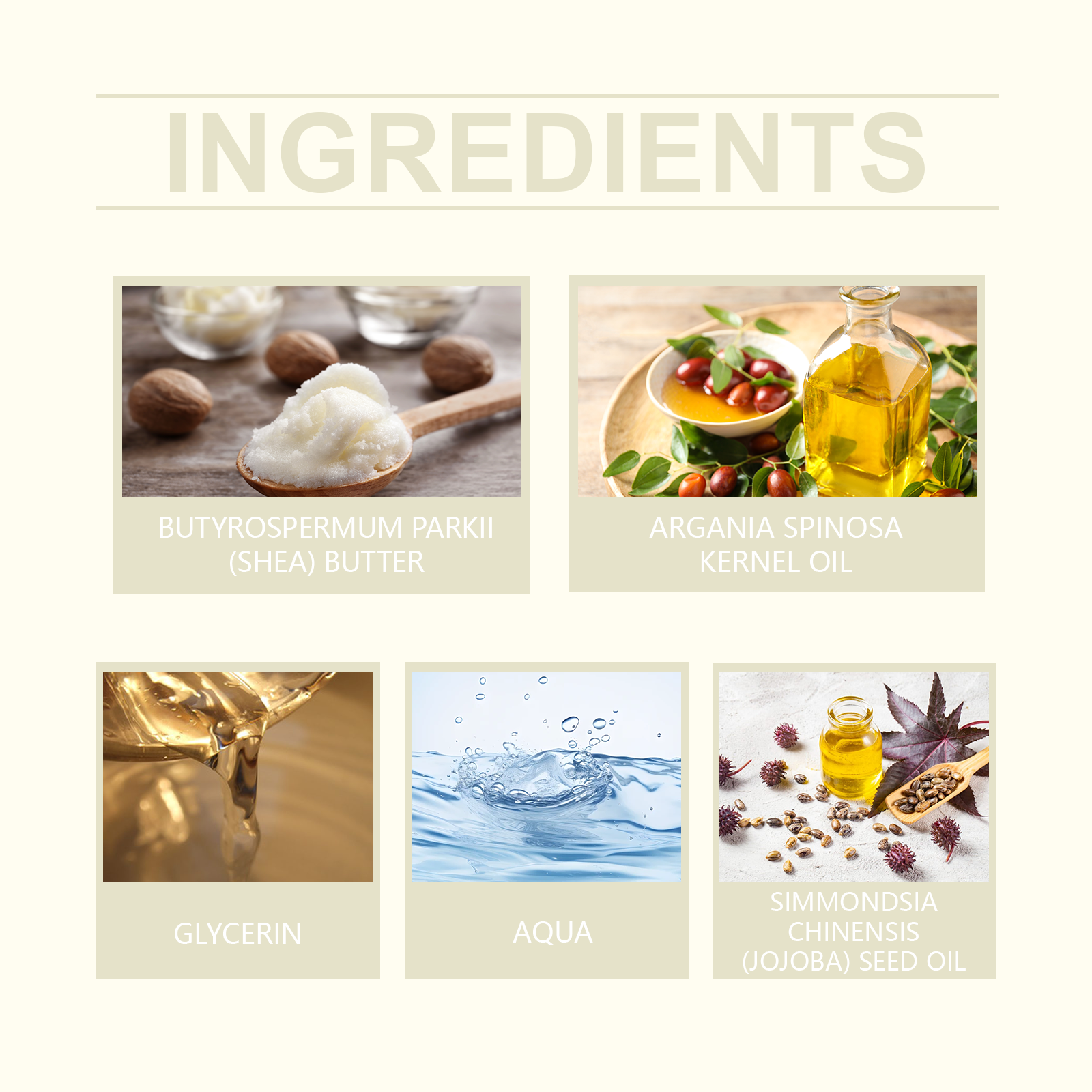 65eaa881-2cc8-4967-a363-aeee180479c2