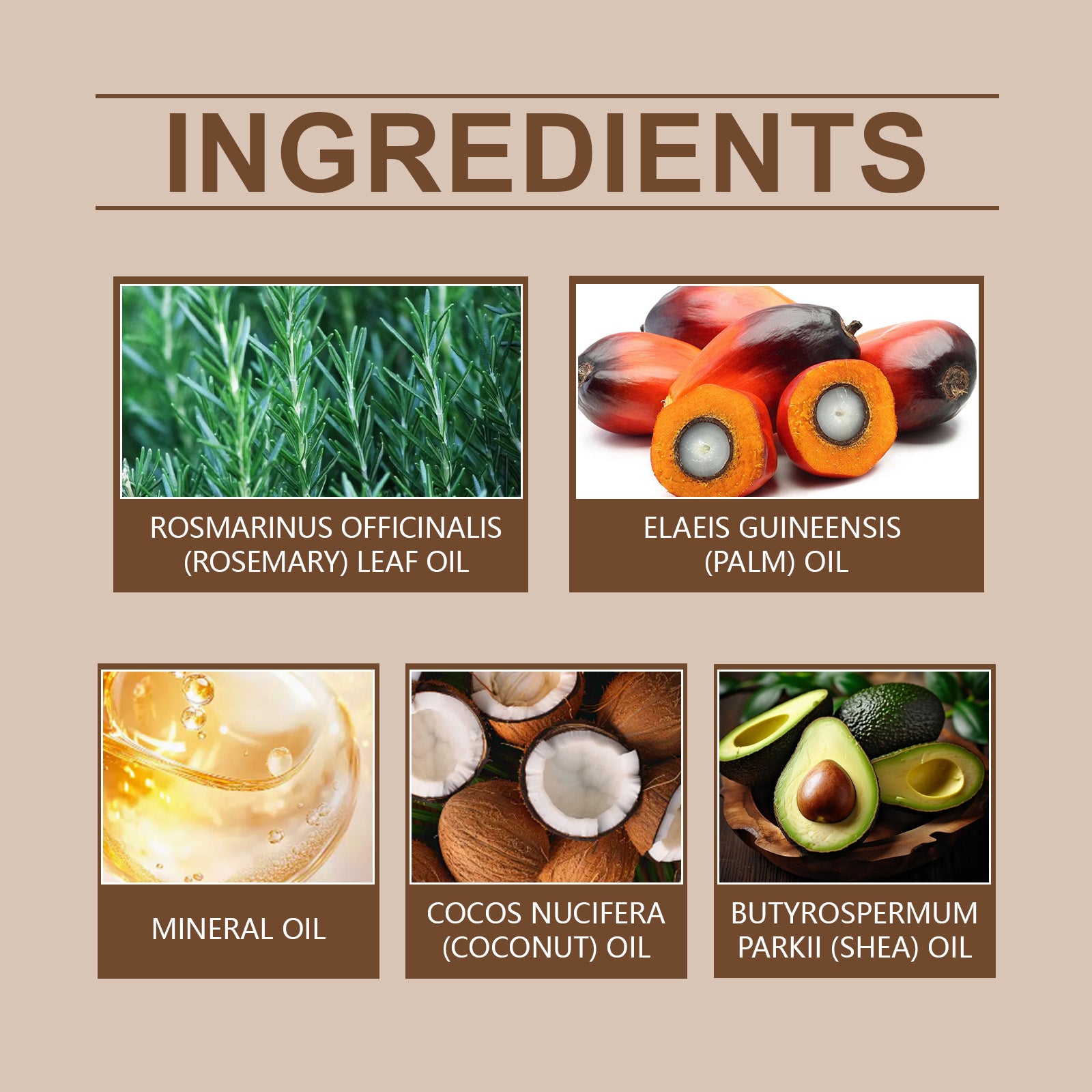 0f1fa519-41a3-4c52-aa5d-dadef0104fec