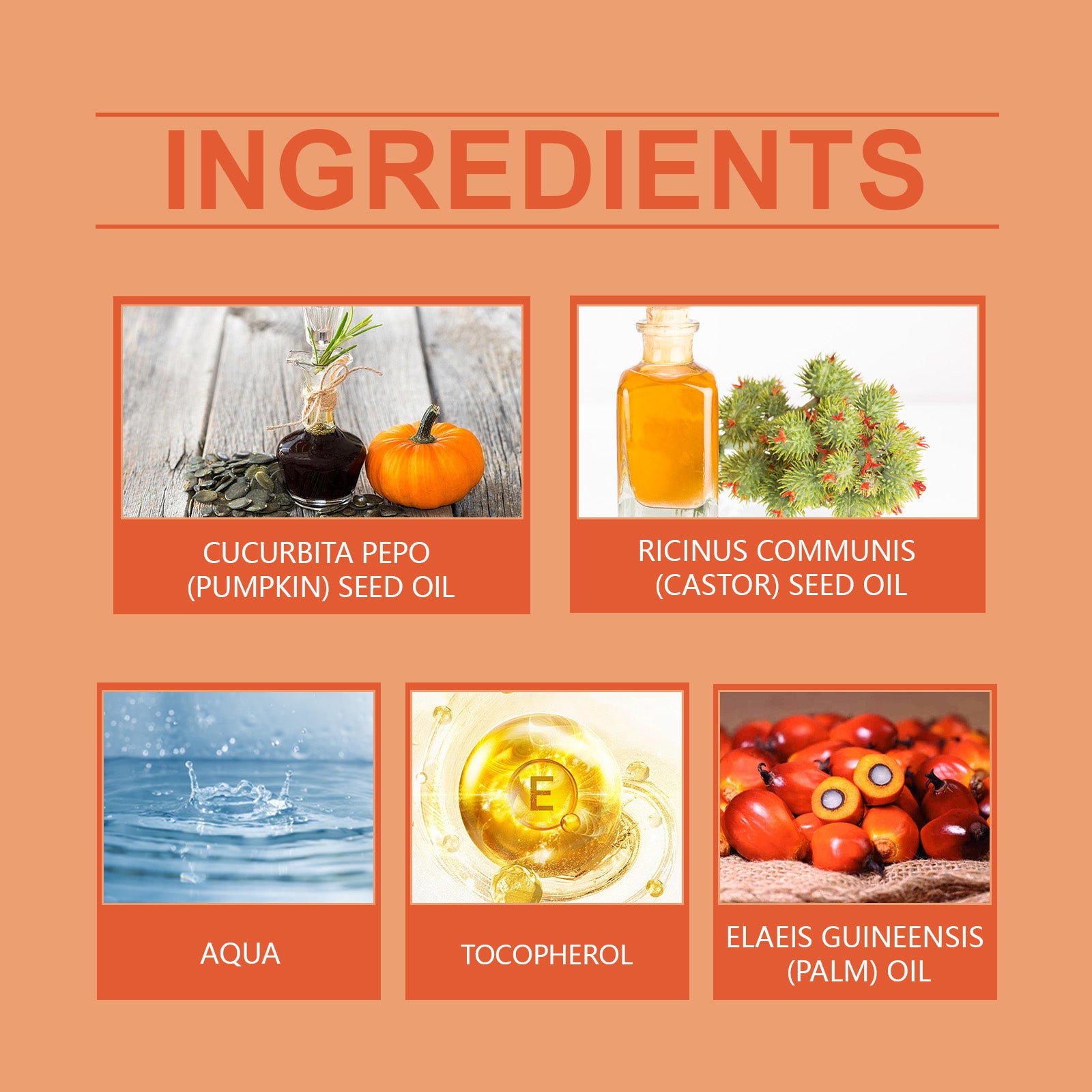 a05d581b-0497-4255-a138-6eacfef5b29d