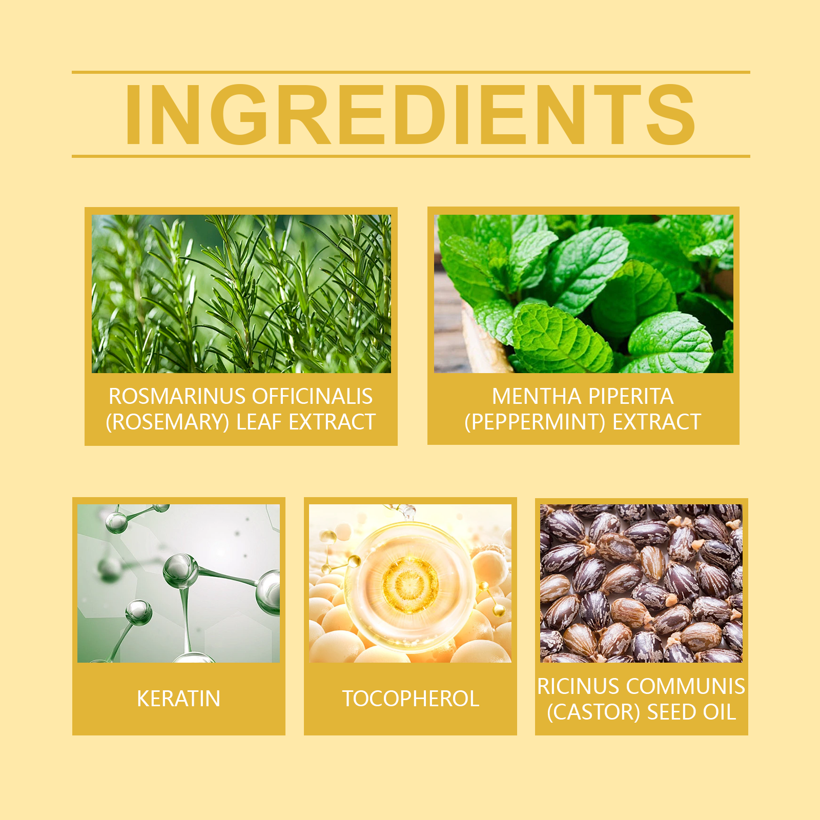 f536737c-2129-4dd5-ac83-2fc87bc2a8cd