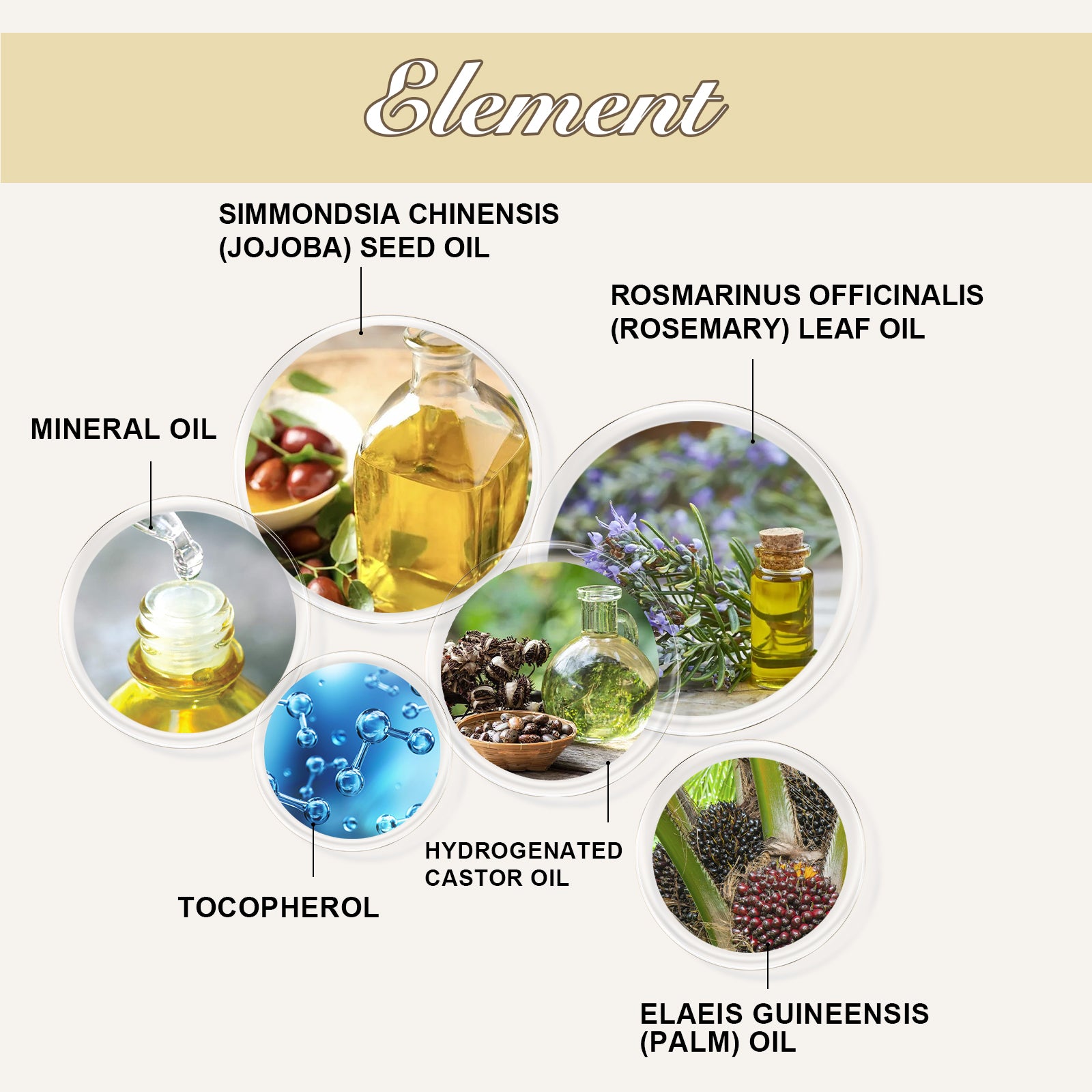 a1a78393-74eb-487c-92e3-f195df836404