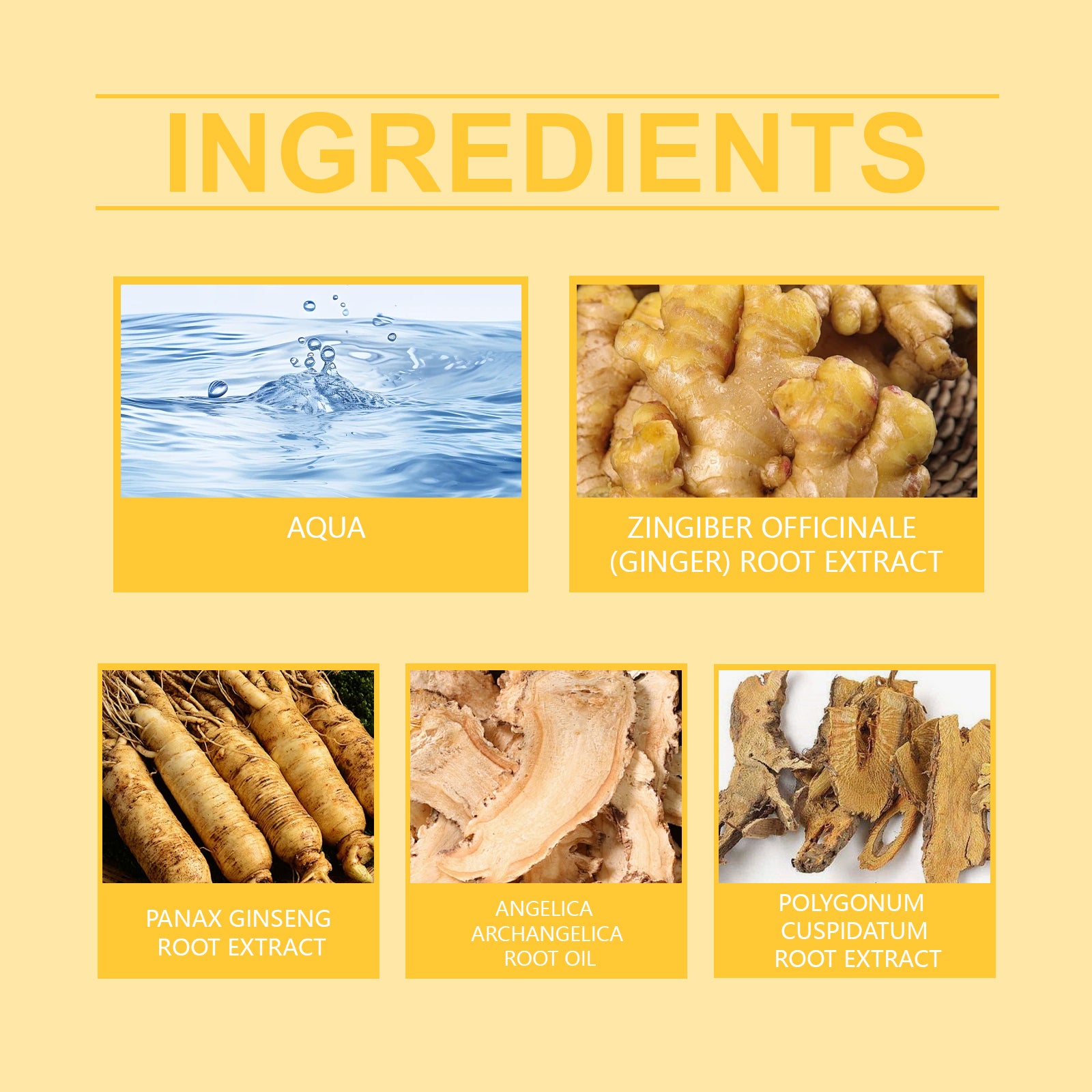 5909f8ef-de53-4168-9af2-e29801cce436