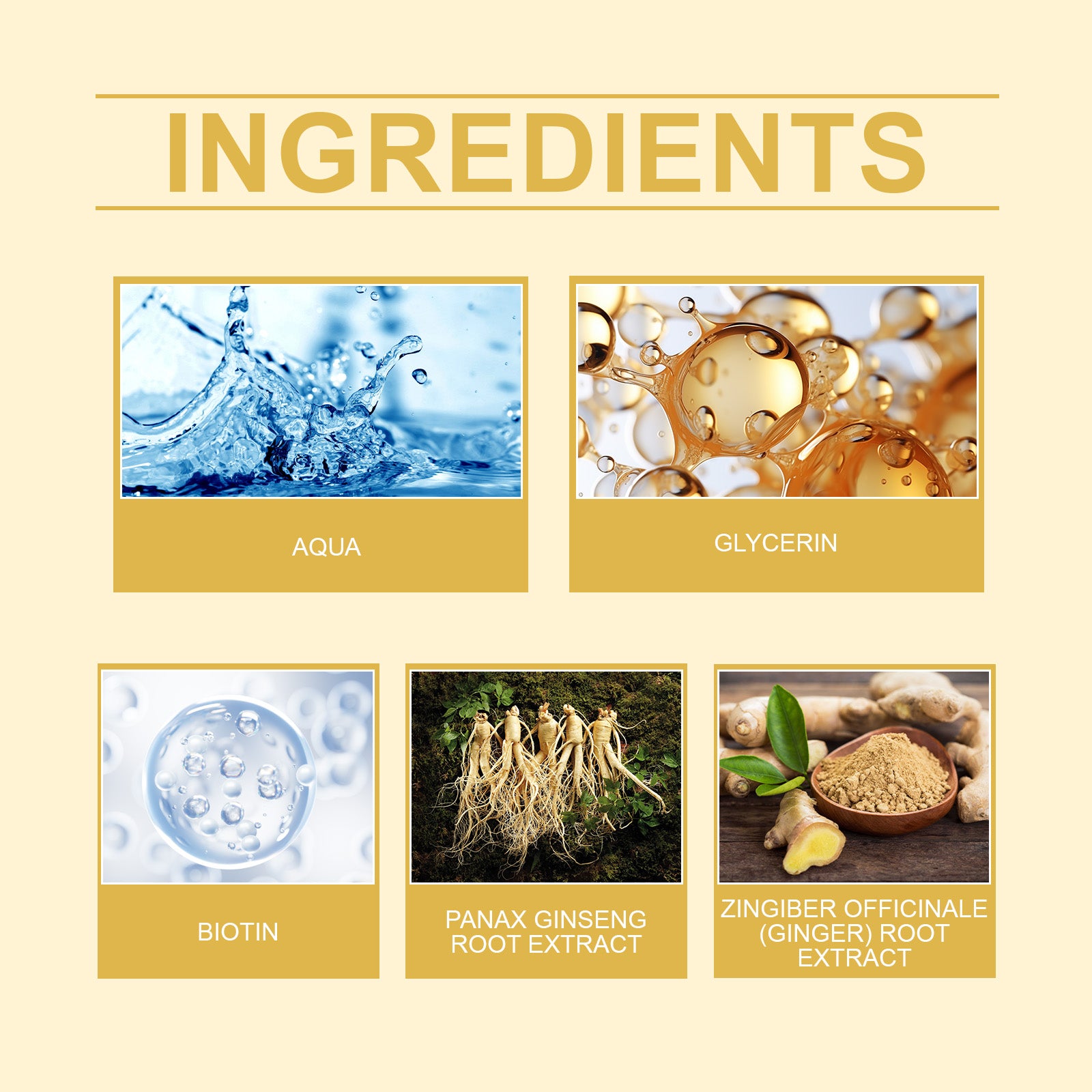 a642c446-dd37-4406-b3d2-df5c215330a5