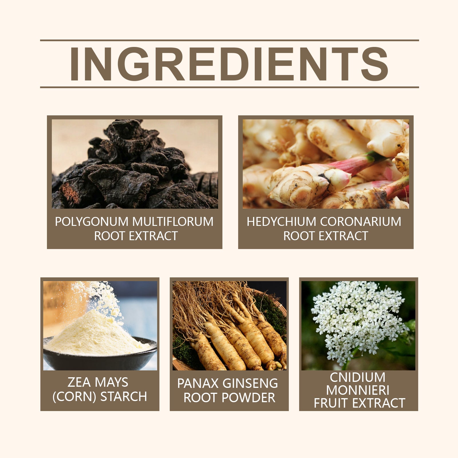 d31f4454-f171-48a6-a105-bb3b88b7c81a