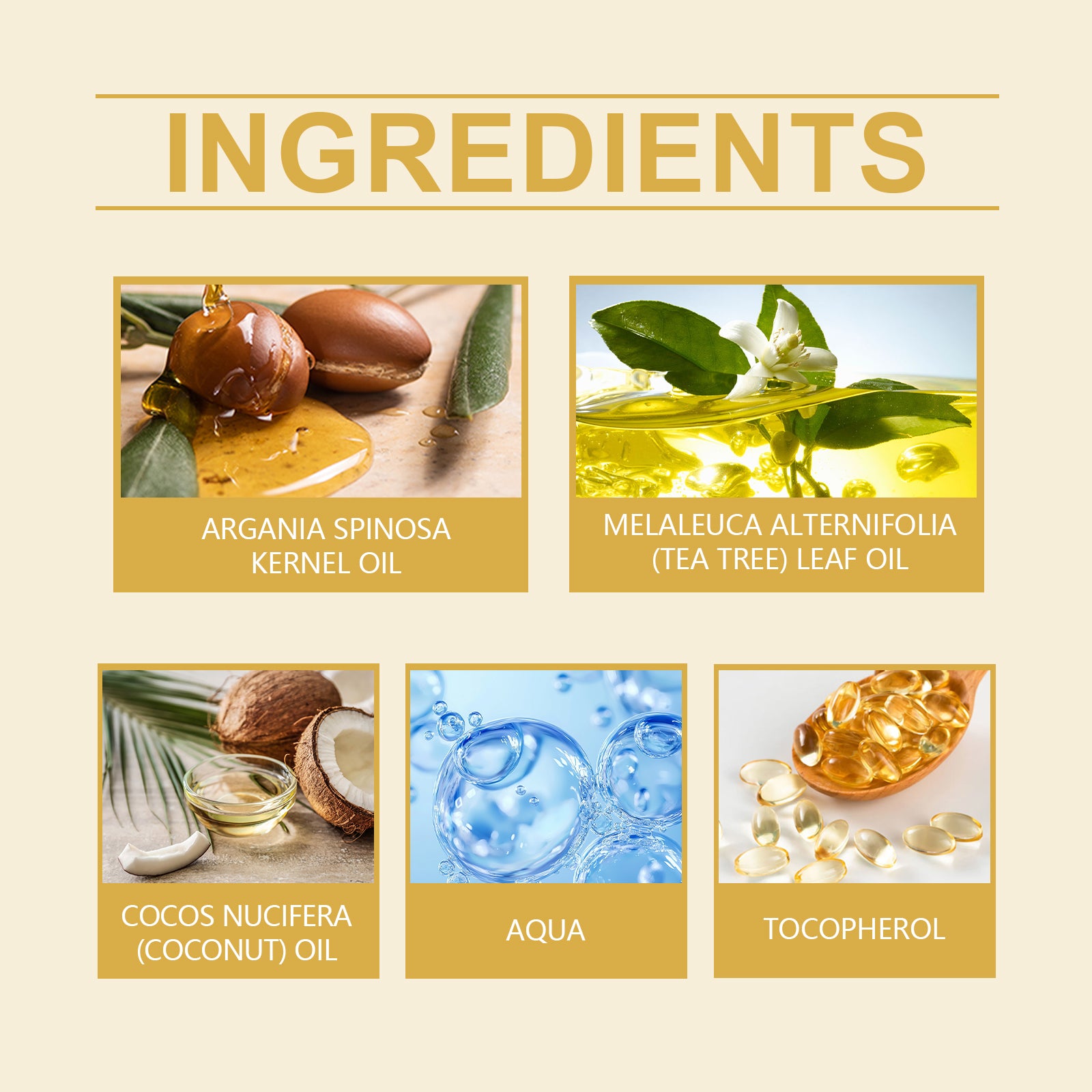 24817df2-401e-400c-adde-328c49786b99