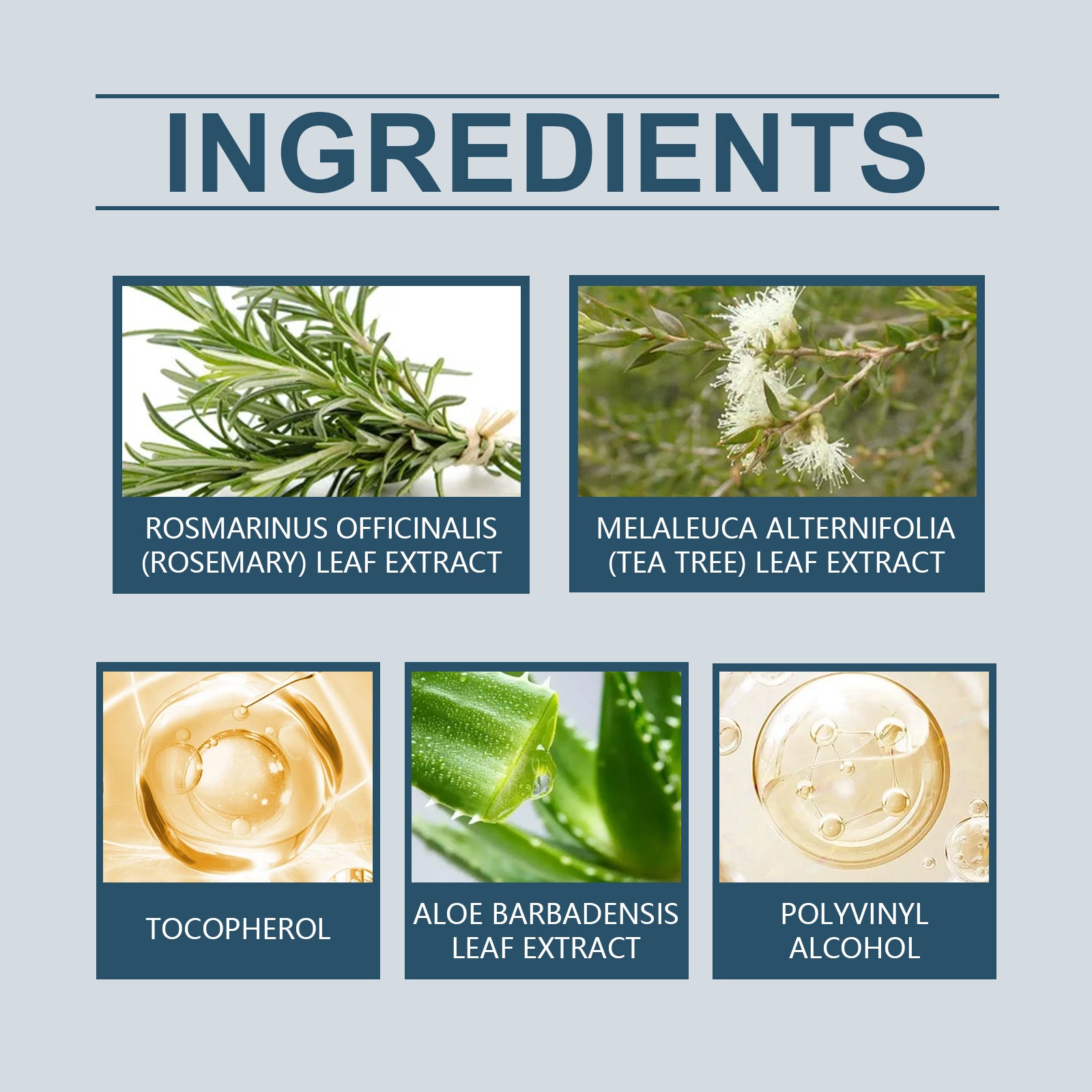 bc9edd99-a621-4c1e-bb87-e58c2a6409e5