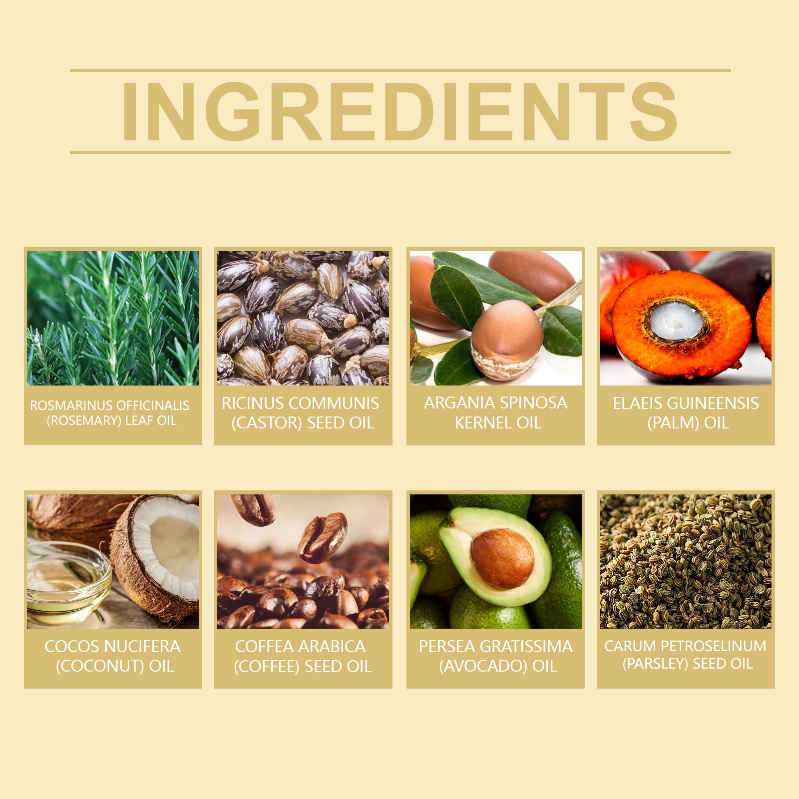 b6560ac8-1ec6-4219-ad6c-33fe4bbc9562