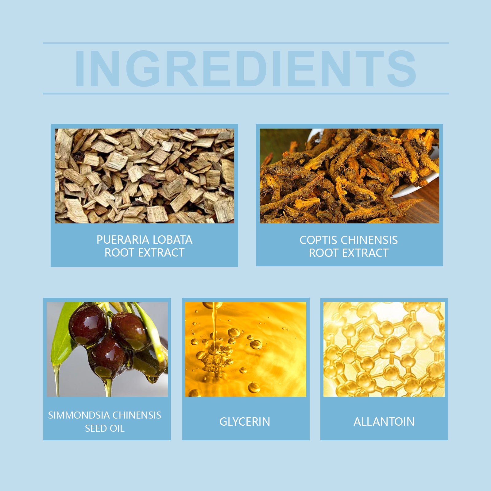 3a11a0ec-e000-4e84-a24f-935bb7ccab6a