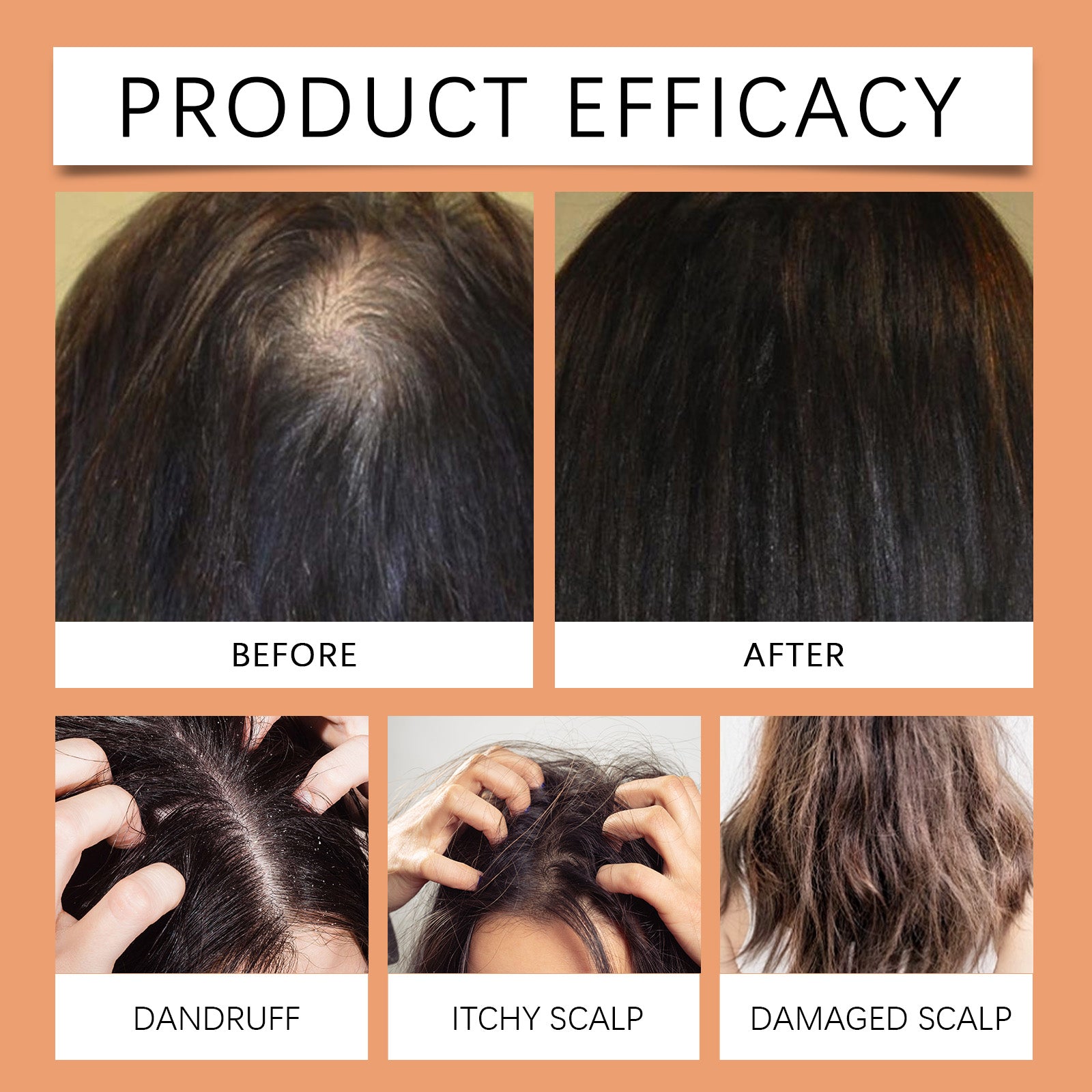 9bffe1e3-c41a-4c3b-bc2f-cccd517bd40c