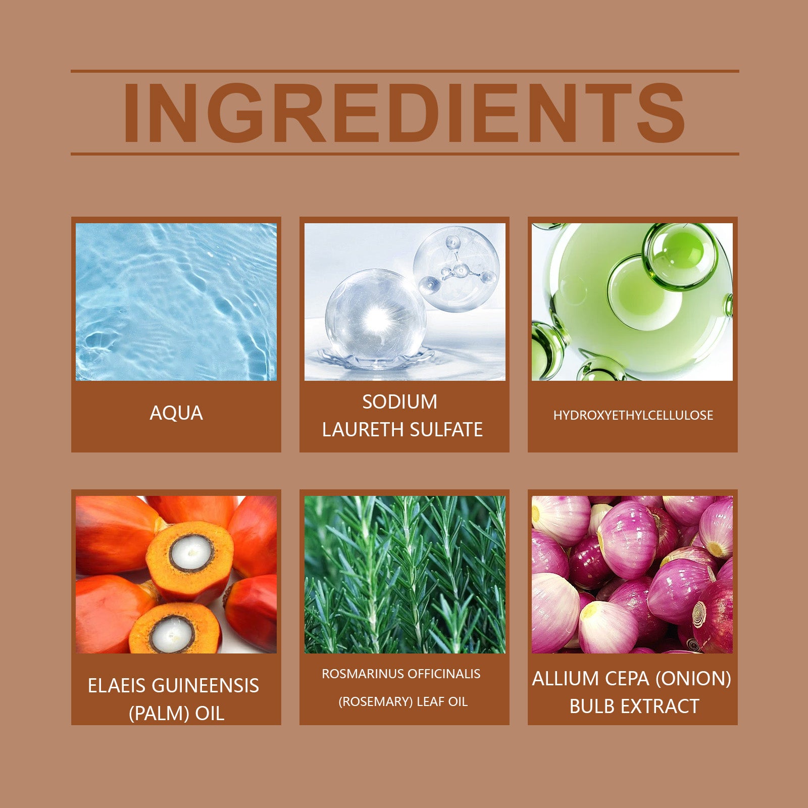 d0bf09dc-6c37-4f3f-8667-29a694b54188