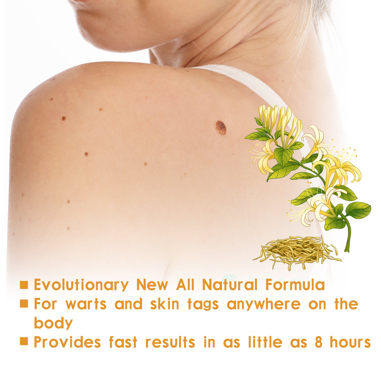 882c407b-3a4b-47cb-8d21-1f40dbb1a82c