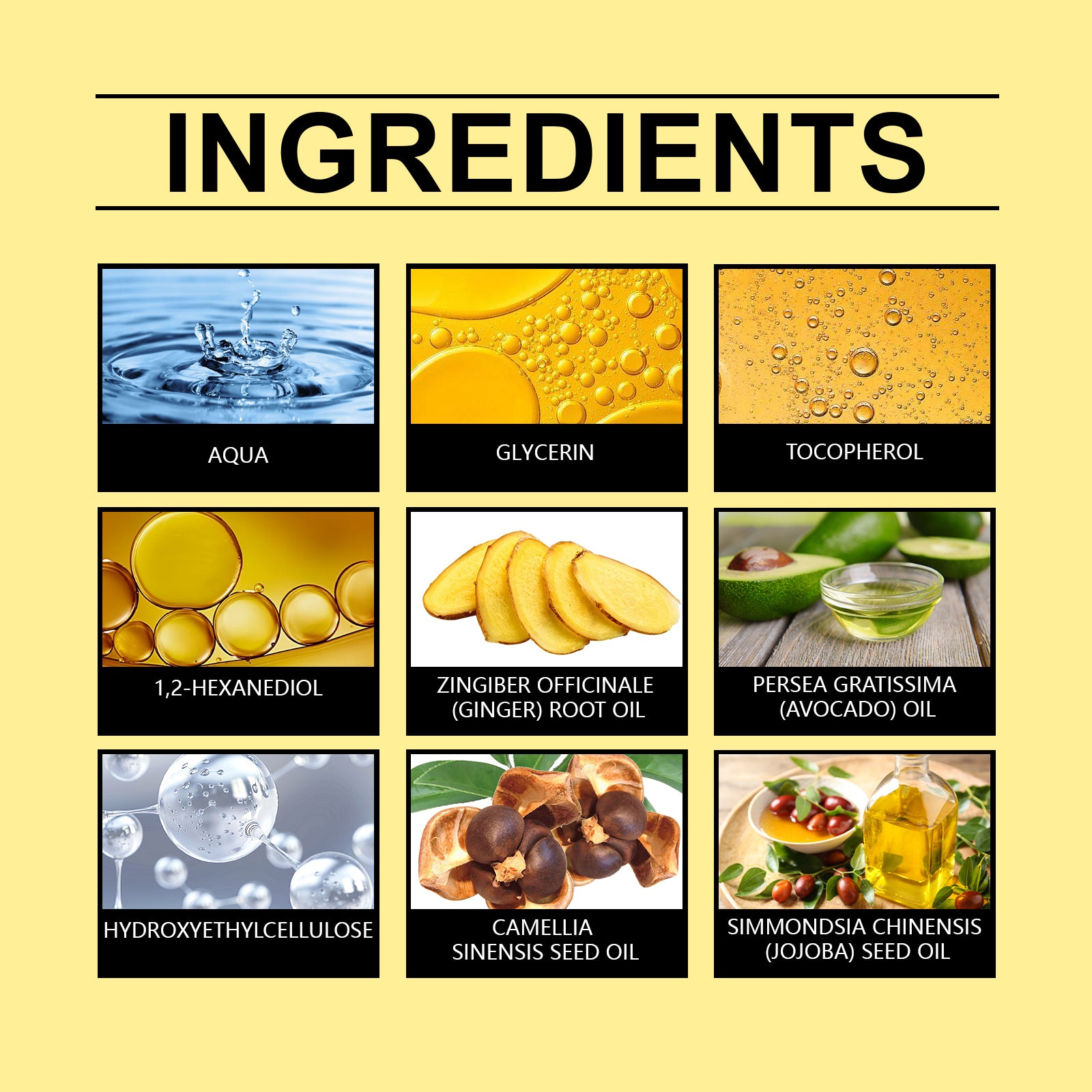 81968f3b-f678-4123-85ca-932f14970e52