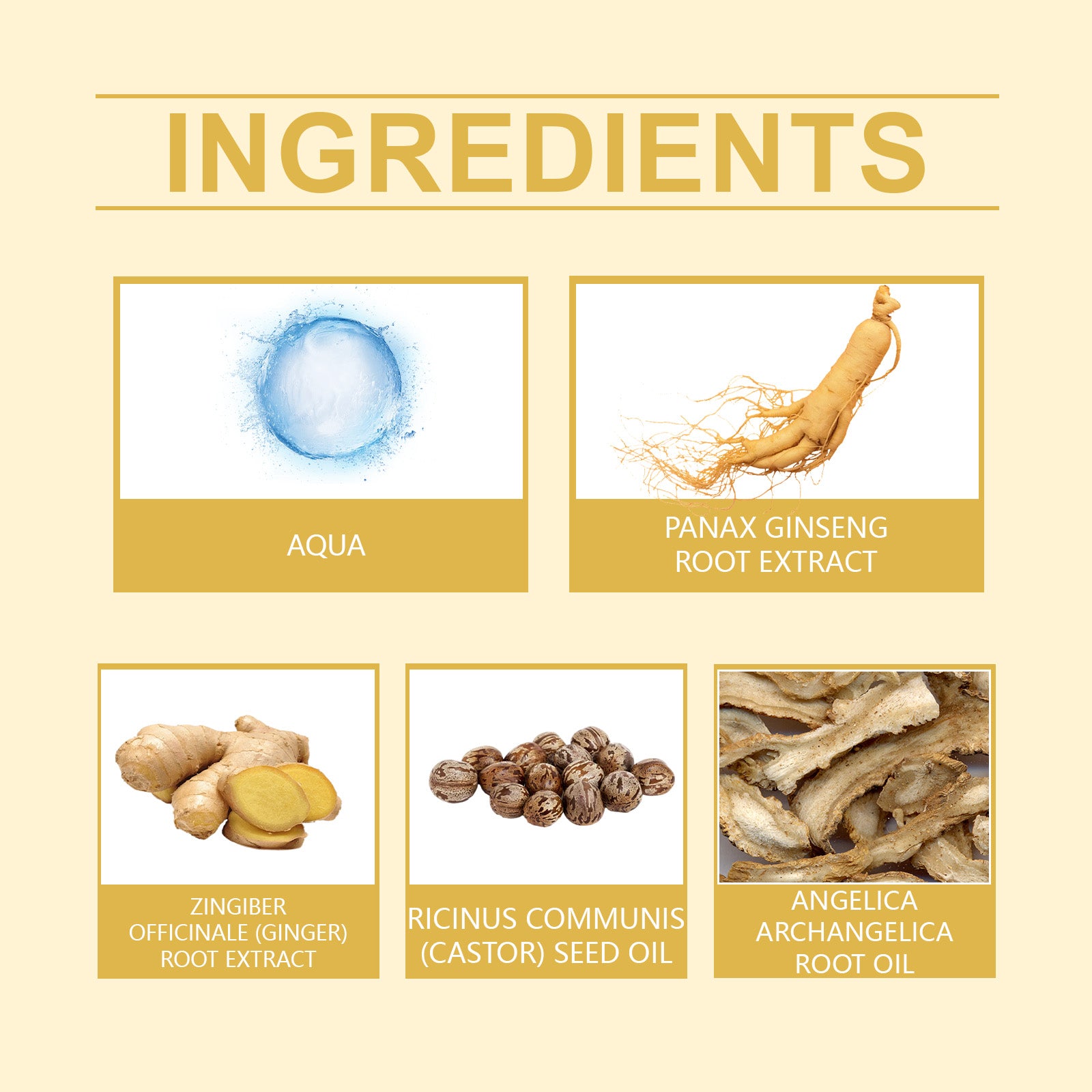 0fb24888-4383-47dc-ad1b-74753bdfd8d5