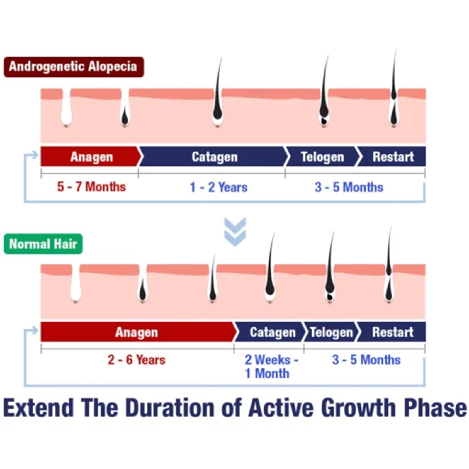 f1d2b5cd-6d36-43d2-b143-2b32ed33a94a