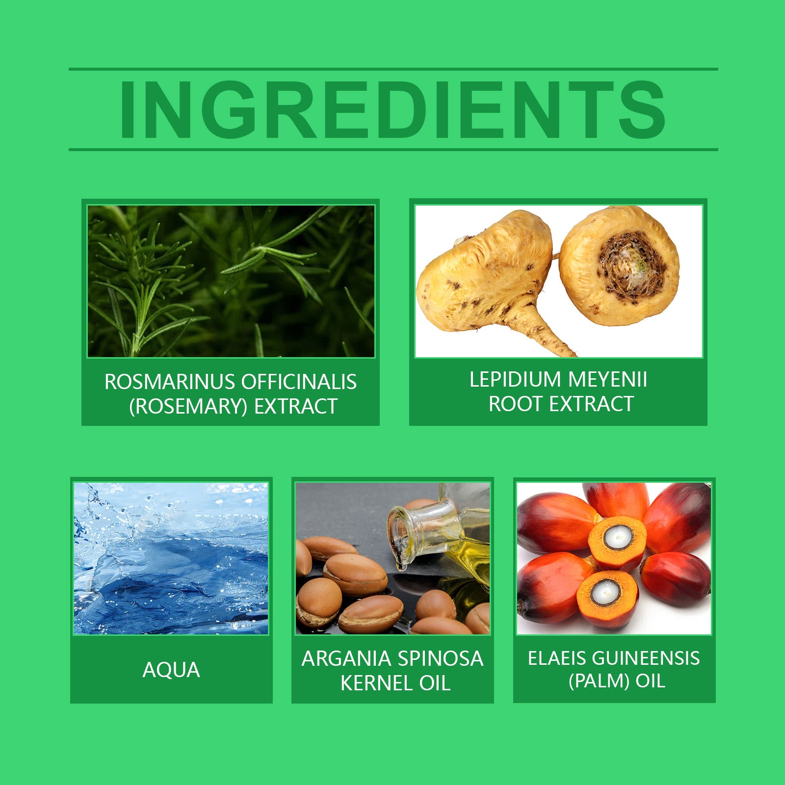 81791f11-286e-4629-b658-24683632aeb3