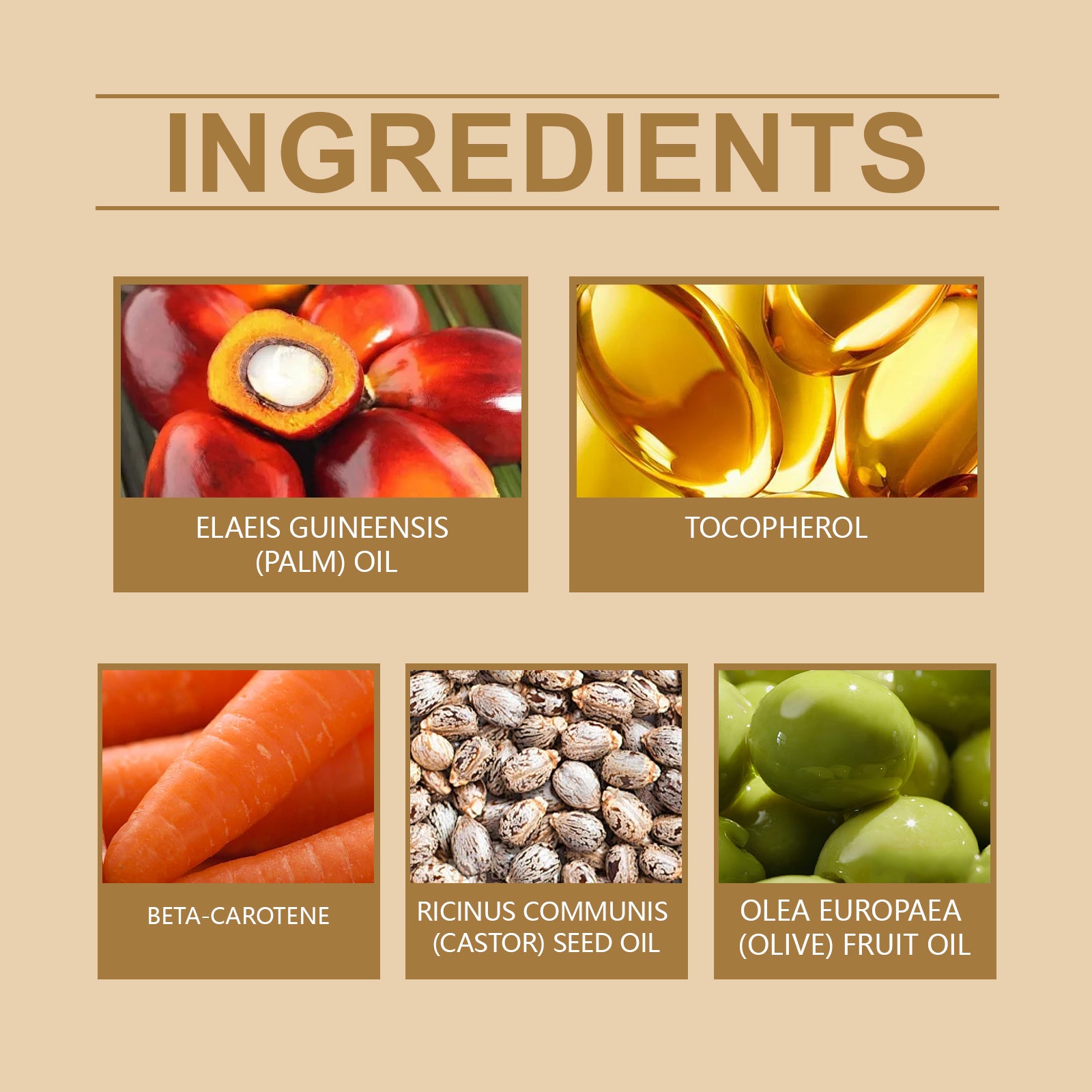 981b2f23-0a39-4341-bbb8-8226a2817cac