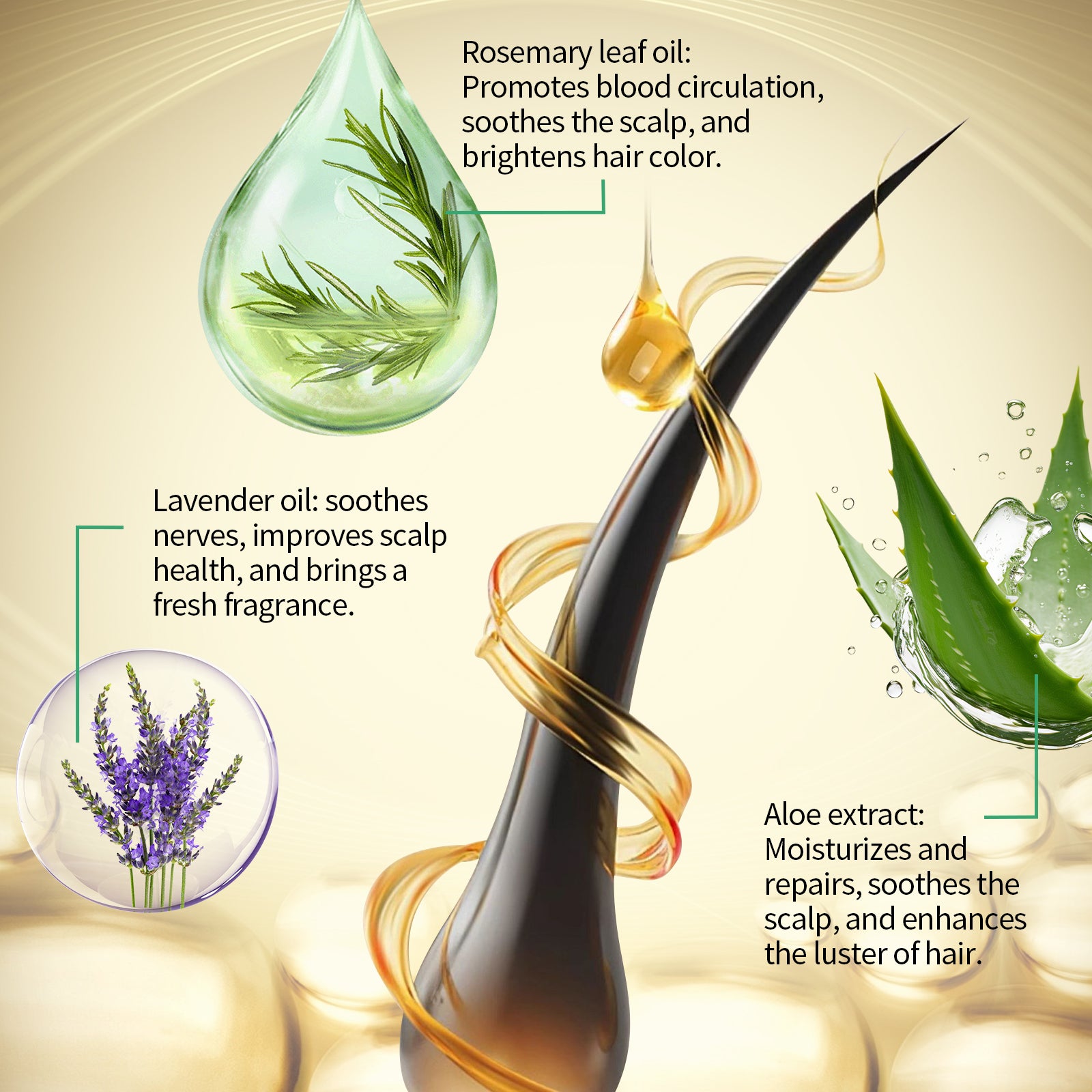 efb956e9-d75c-461f-a4aa-a69d084ff750