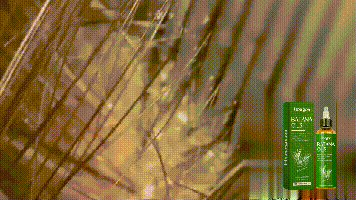 2fe91a54-8474-43d4-8c61-be6e61a30be8